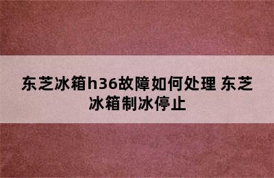 东芝冰箱h36故障如何处理 东芝冰箱制冰停止